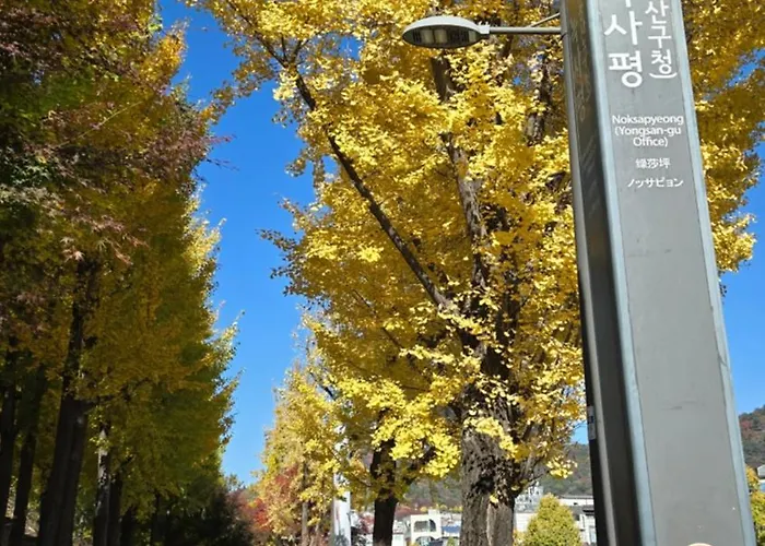 公寓 Sowol Haus - Cozy 2 Bedroom Duplex Near Itaewon *